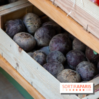 Sapid, la table à manger Naturaliste d'Alan Ducasse : nos photos