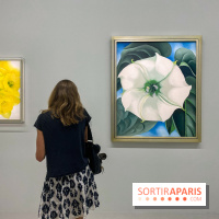Georgia O'keeffe au Centre Pompidou