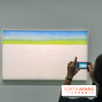 Georgia O'keeffe au Centre Pompidou