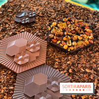 Chocolats de Noël 2021 Alain Ducasse