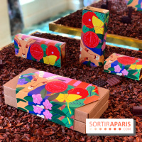 Chocolats de Noël 2021 Alain Ducasse