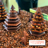 Chocolats de Noël 2021 Alain Ducasse