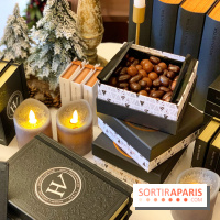 Bûches de Noël 2021 Hugo & Victor