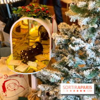 Bûches de Noël 2021 Hugo & Victor