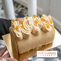 Photos : Les Bûches de Noël 2021 de Philippe Conticini