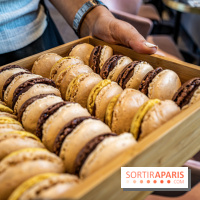 Photos : Les bûches de Noël 2021 et galette 2022 de Dalloyau by Jeremy Del Val