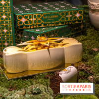 Photos : Bûche de Noël 2021 et Galette 2022 de Ladurée par Julien Alvarez