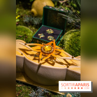 Photos : Bûche de Noël 2021 et Galette 2022 de Ladurée par Julien Alvarez