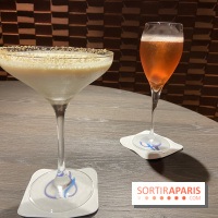 Oceania et sa terrasse en mode jardin méditerranéen à Paris