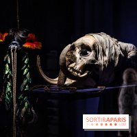 Exposition Aux frontières de l'humain au Musée de l'Homme