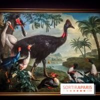 Les animaux du Roi, une exposition qui a du chien au Château de Versailles - nos photos