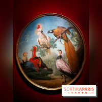 Les animaux du Roi, une exposition qui a du chien au Château de Versailles - nos photos