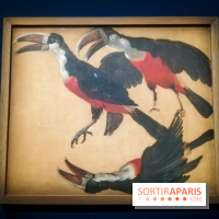 Les animaux du Roi, une exposition qui a du chien au Château de Versailles - nos photos