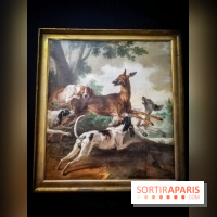 Les animaux du Roi, une exposition qui a du chien au Château de Versailles - nos photos