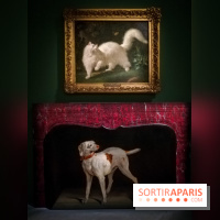 Les animaux du Roi, une exposition qui a du chien au Château de Versailles - nos photos