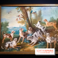 Les animaux du Roi, une exposition qui a du chien au Château de Versailles - nos photos