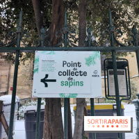 Visuel actualités - collecte sapin paris