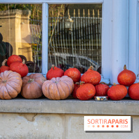 citrouille halloween légumes visuel actualités
