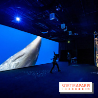 Photos : Odyssée sensorielle, l’expo immersive au Museum 