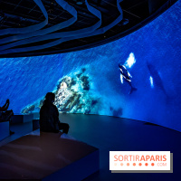 Photos : Odyssée sensorielle, l’expo immersive au Museum 