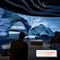 Photos : Odyssée sensorielle, l’expo immersive au Museum 