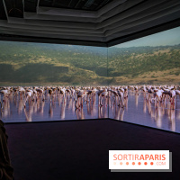 Photos : Odyssée sensorielle, l’expo immersive au Museum 