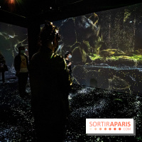 Photos : Odyssée sensorielle, l’expo immersive au Museum 