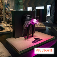 Photos : Odyssée sensorielle, l’expo immersive au Museum 