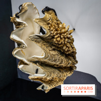 Photos : Odyssée sensorielle, l’expo immersive au Museum 