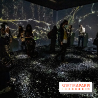 Photos : Odyssée sensorielle, l’expo immersive au Museum 