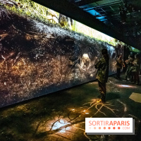 Photos : Odyssée sensorielle, l’expo immersive au Museum 