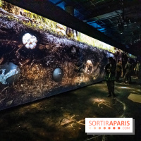 Photos : Odyssée sensorielle, l’expo immersive au Museum 