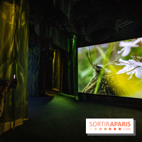 Photos : Odyssée sensorielle, l’expo immersive au Museum 