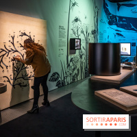 Photos : Odyssée sensorielle, l’expo immersive au Museum 