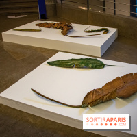 Asia Now 2021 : expositions Huong Dodinh et Thu-Van Tran au Musée Guimet