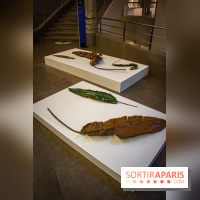 Asia Now 2021 : expositions Huong Dodinh et Thu-Van Tran au Musée Guimet