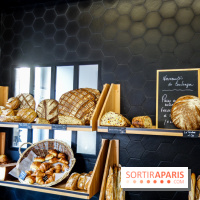 Basil à Paris, nos photos