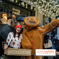 Photos : les vitrines et décorations de Noël du Bon Marché 2021