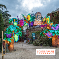 Thoiry Lumières Sauvages 2021-2022