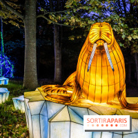 Thoiry Lumières Sauvages 2021-2022