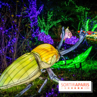 Thoiry Lumières Sauvages 2021-2022