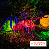 Thoiry Lumières Sauvages 2021-2022