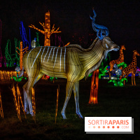 Thoiry Lumières Sauvages 2021-2022