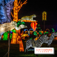 Thoiry Lumières Sauvages 2021-2022