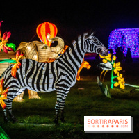 Thoiry Lumières Sauvages 2021-2022