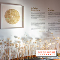 Le Musée Guimet propose une Carte blanche à Duy Anh Nhan Duc