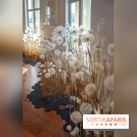 Le Musée Guimet propose une Carte blanche à Duy Anh Nhan Duc