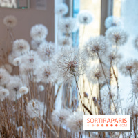 Le Musée Guimet propose une Carte blanche à Duy Anh Nhan Duc