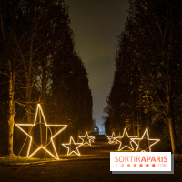 Lumières en Seine, les photos du parcours féérique 