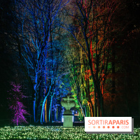 Lumières en Seine, les photos du parcours féérique 